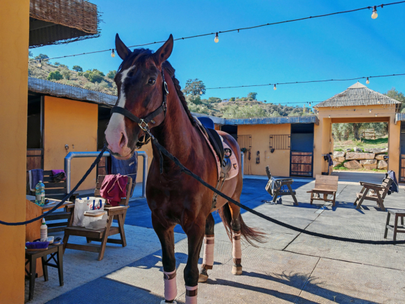 Finca for sale in Coín