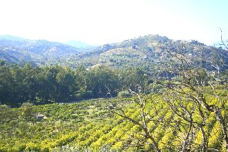 Villa for sale in Coín