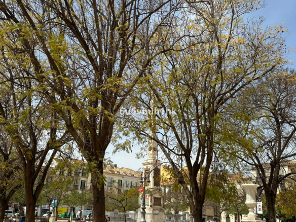 Apartment for sale in Málaga