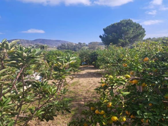 Finca for sale in Alhaurín el Grande