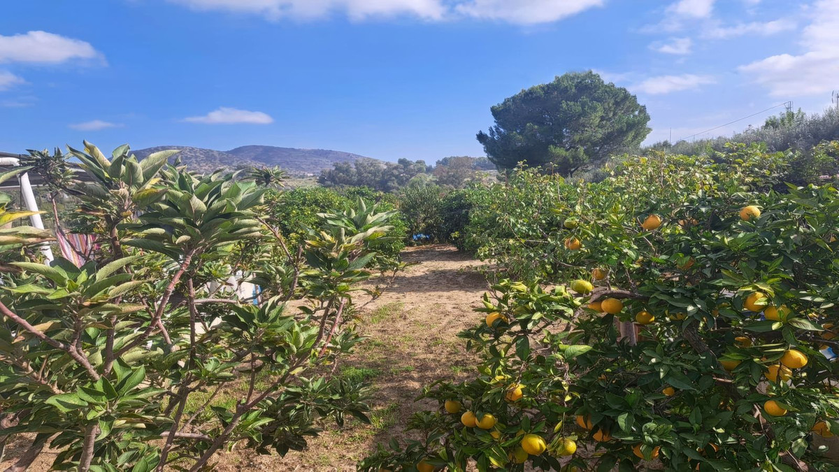 Finca for sale in Alhaurín el Grande
