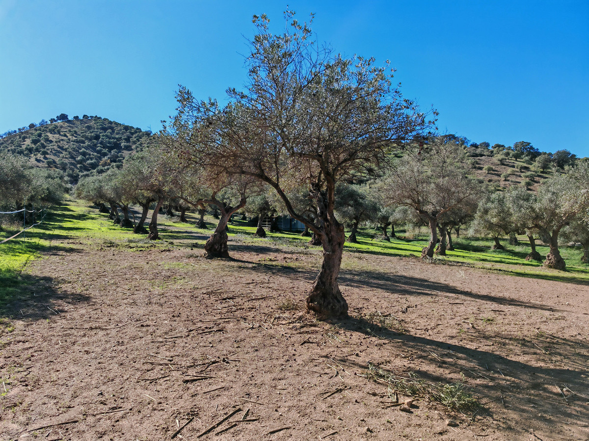 Finca zu verkaufen in Coín