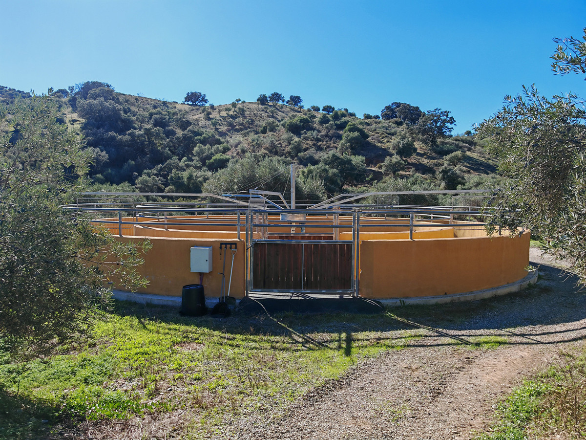 Finca zu verkaufen in Coín
