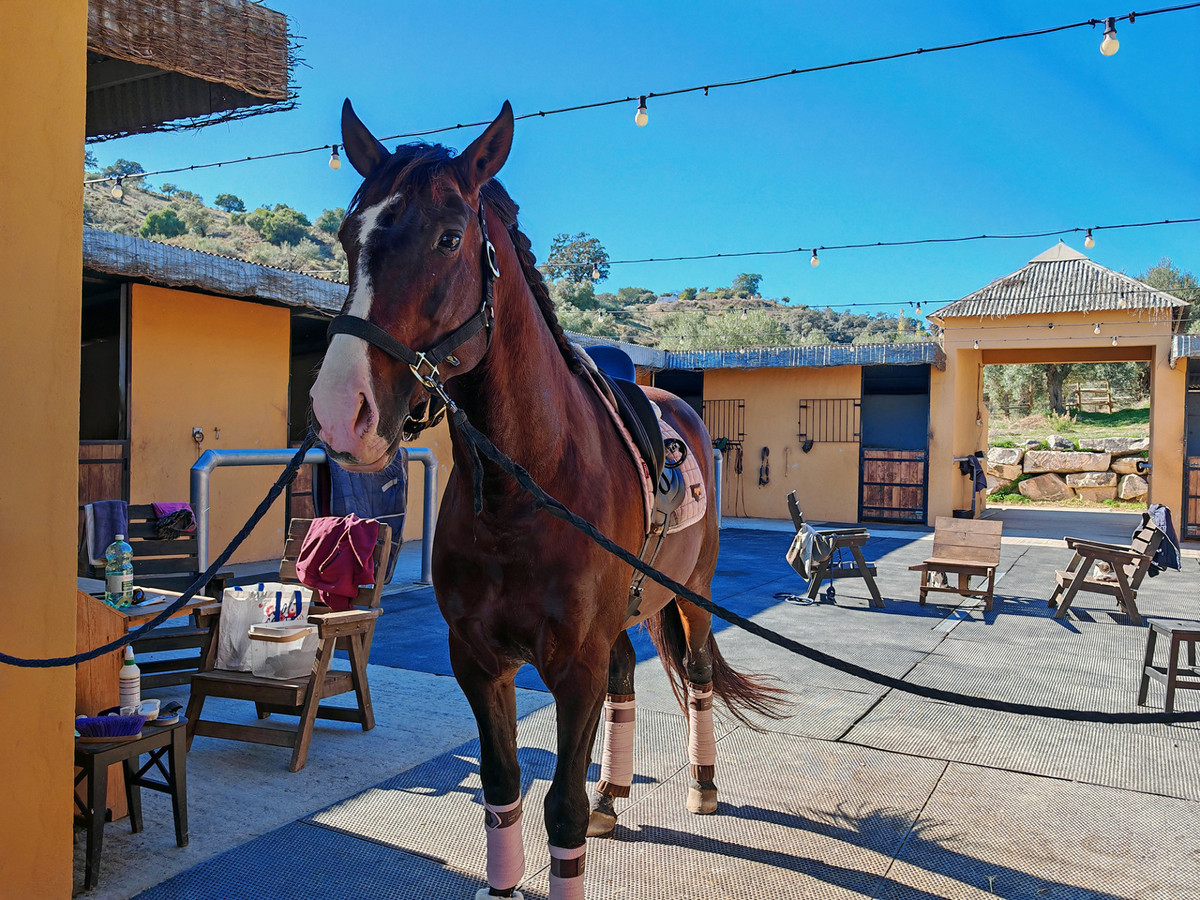 Finca-in-Coin-Ref-R5255134 Finca zu verkaufen in Coín