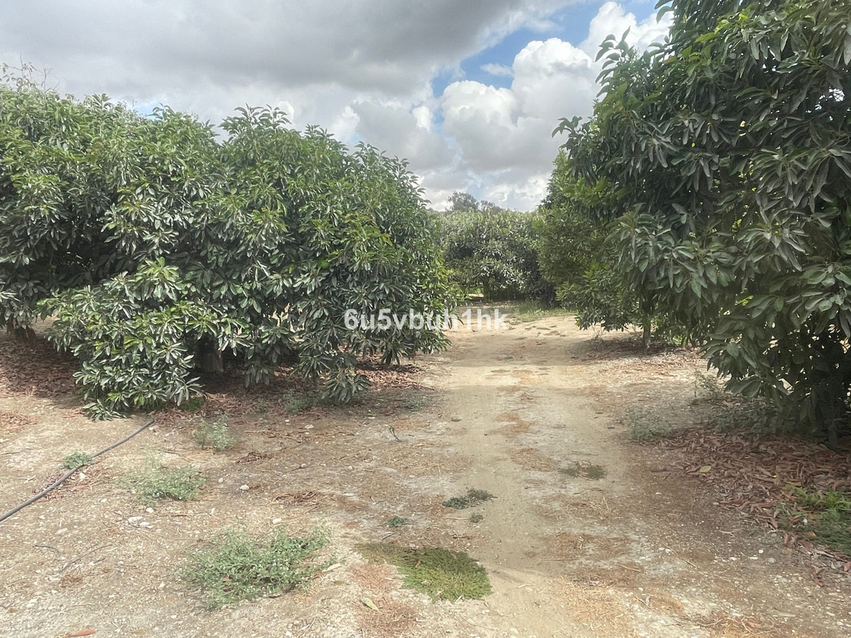 Finca for sale in Coín