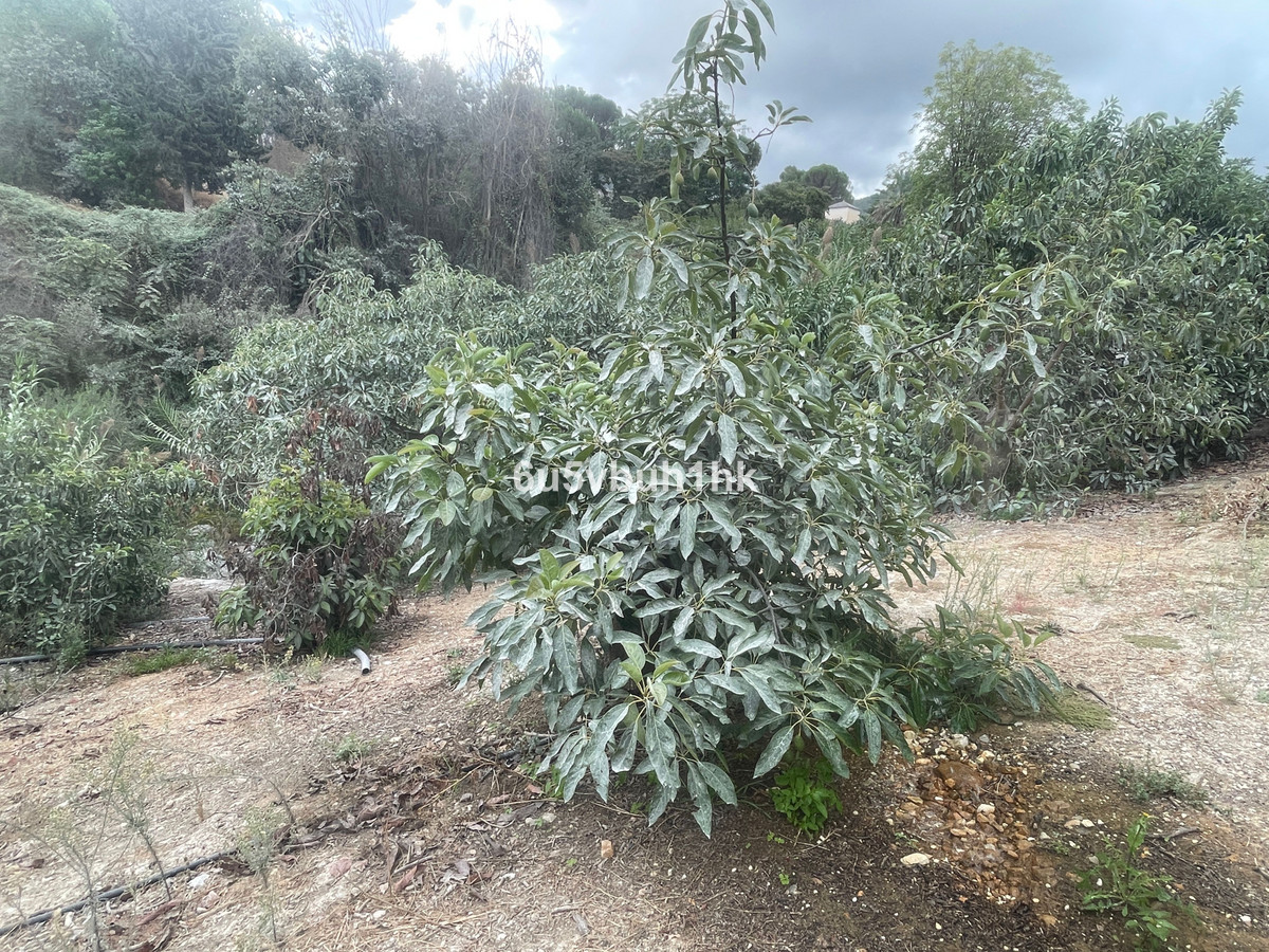 Finca for sale in Coín