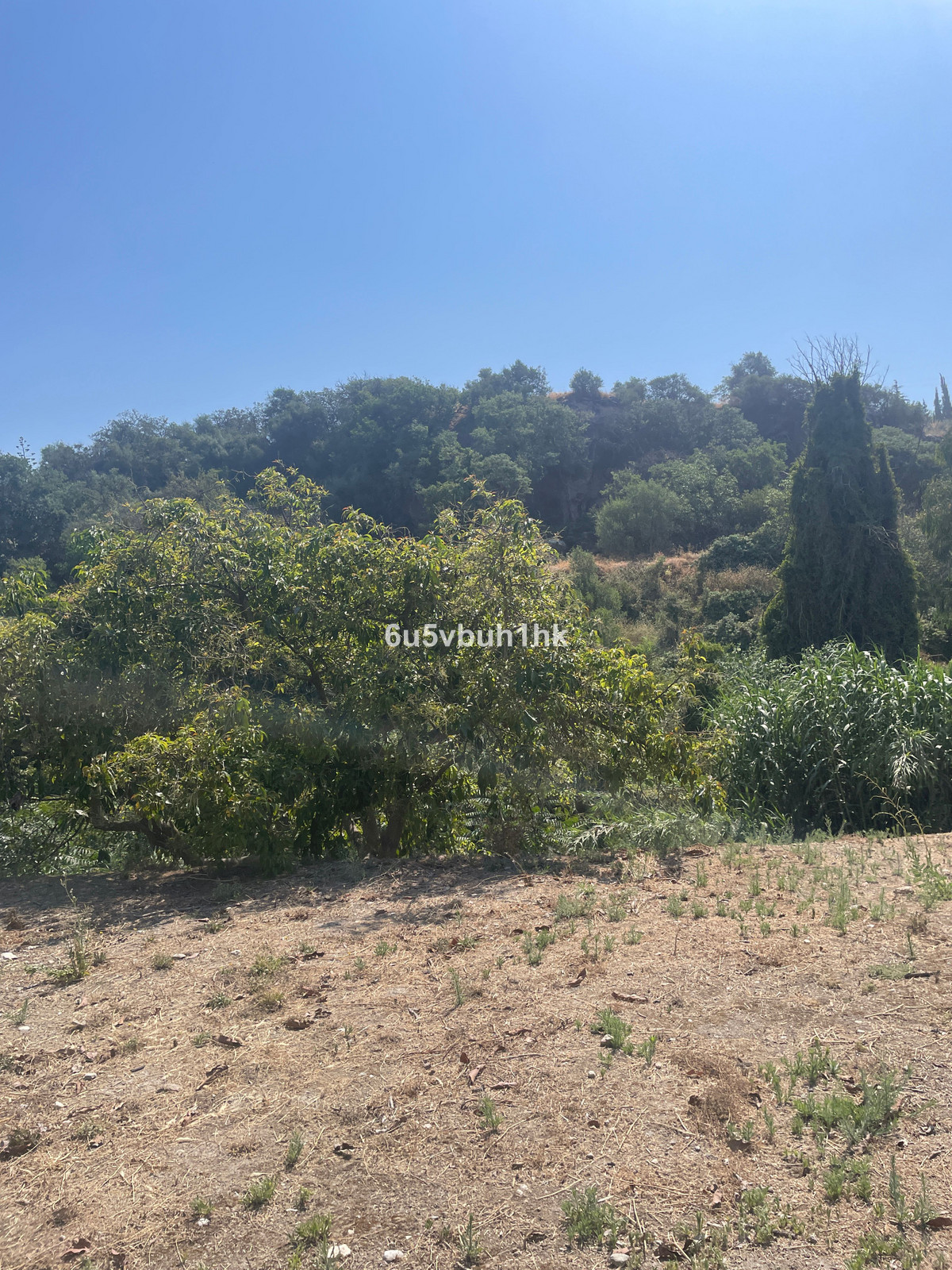 Finca for sale in Coín