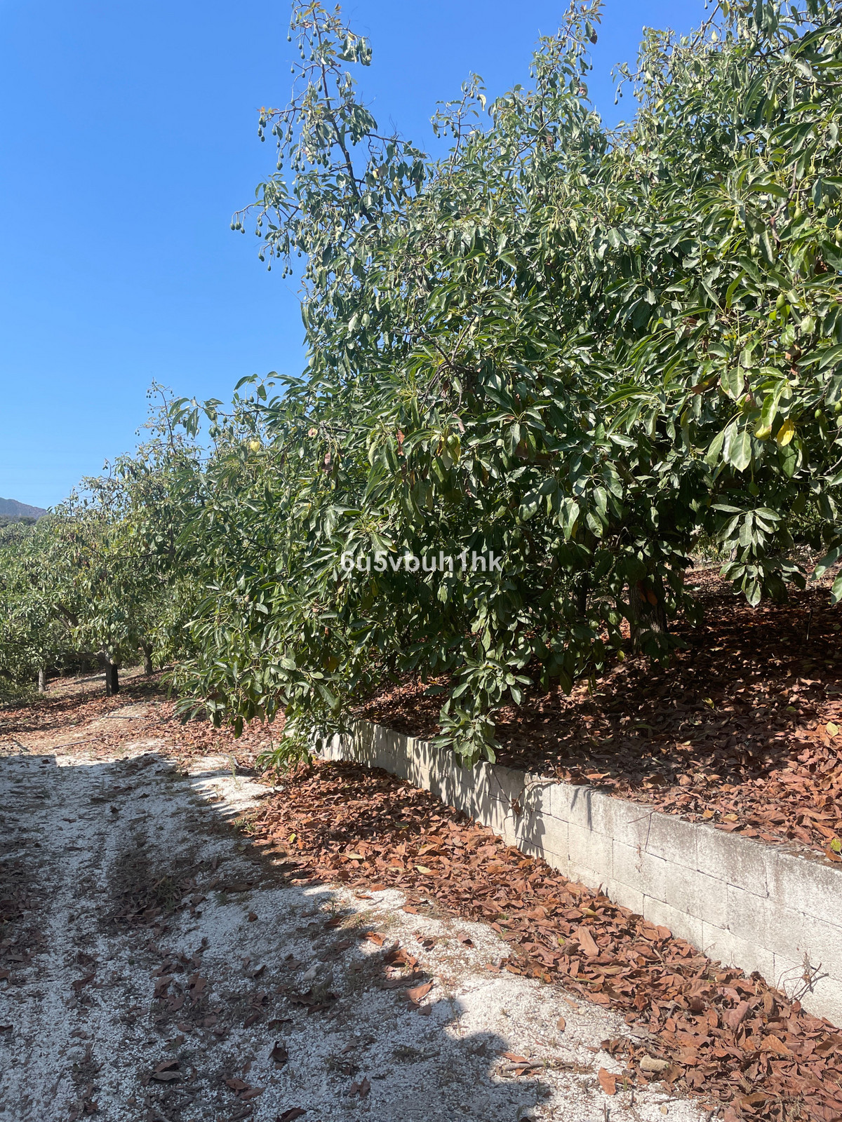 Finca for sale in Coín