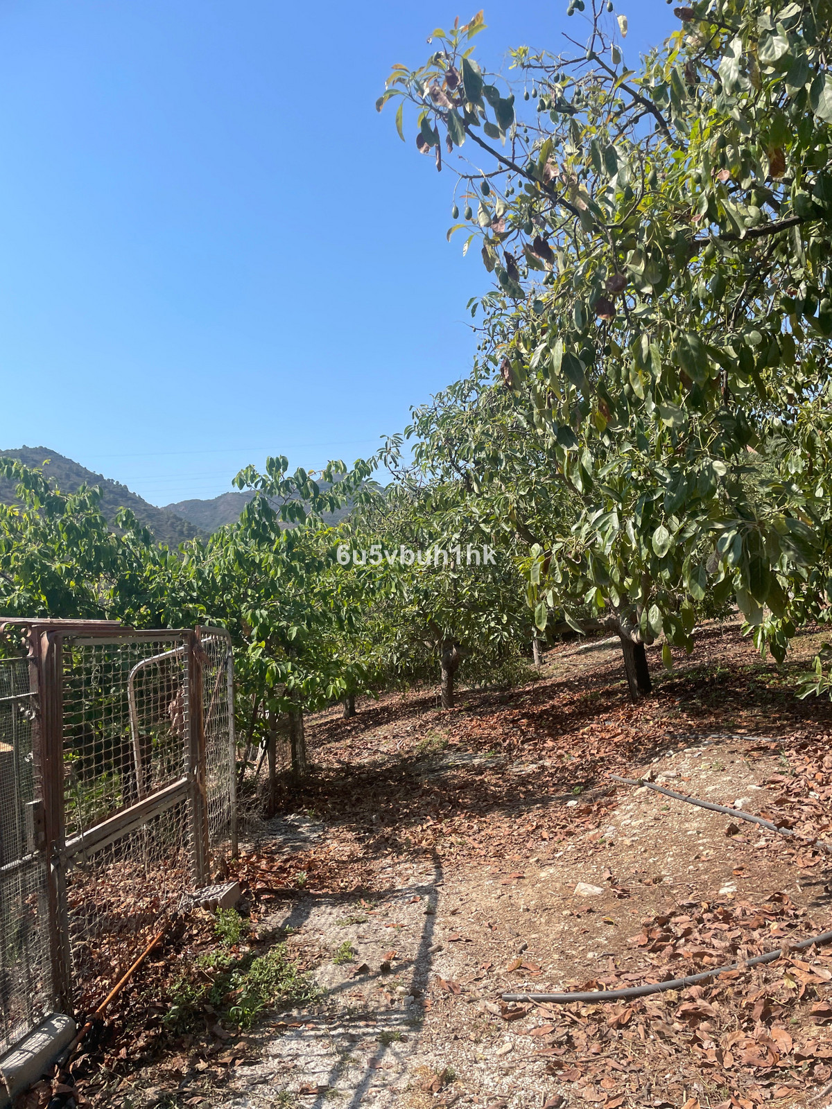 Finca for sale in Coín