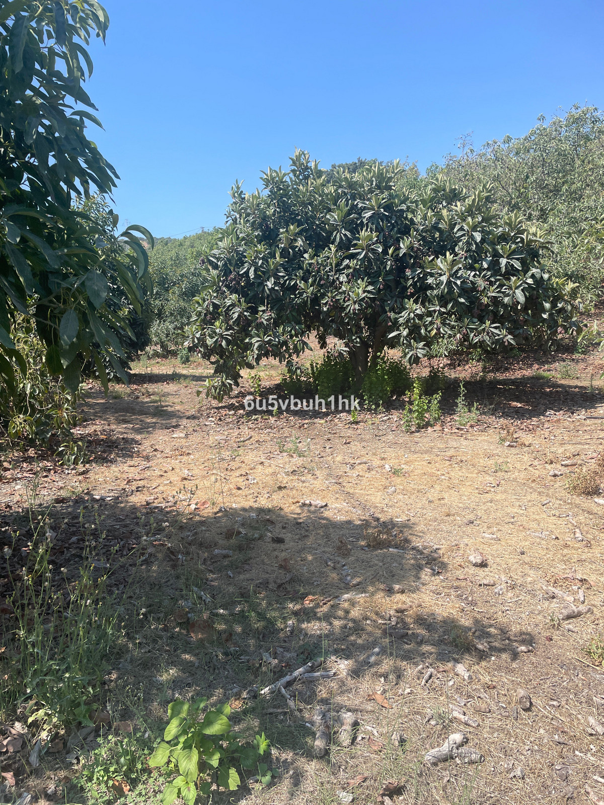 Finca for sale in Coín