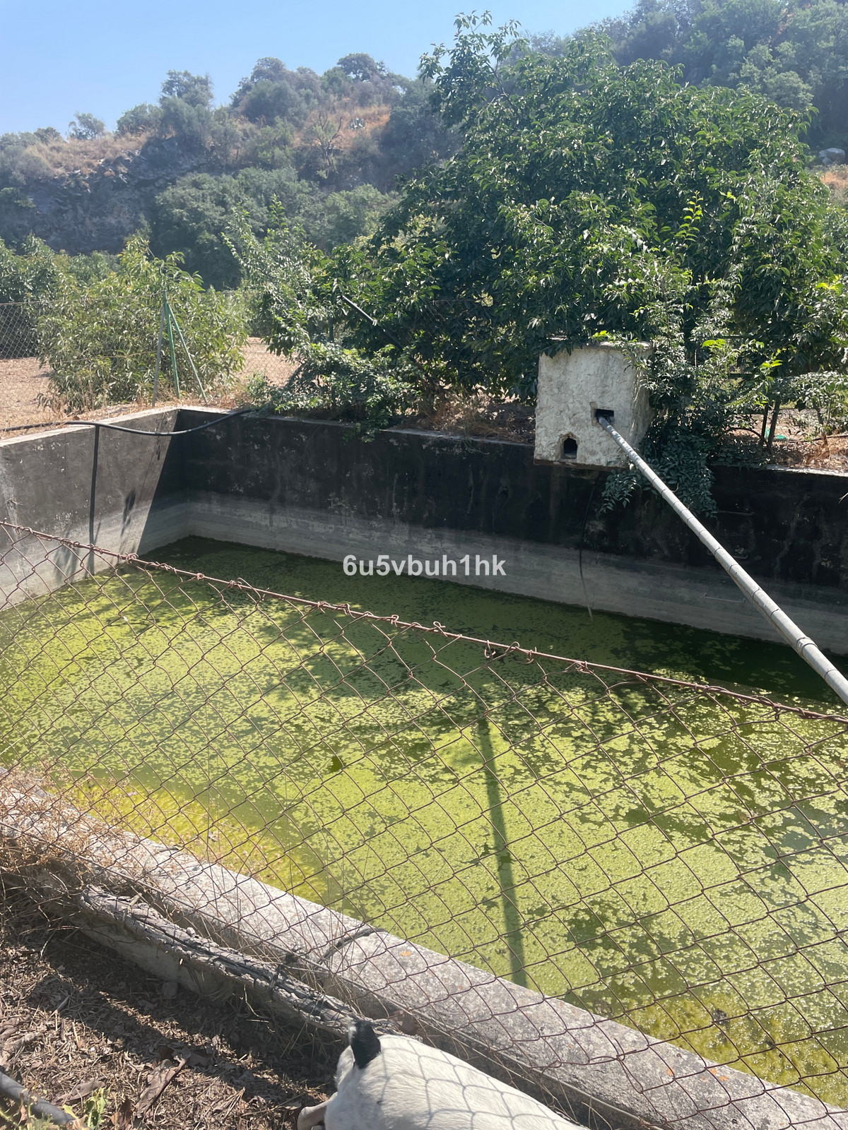 Finca for sale in Coín