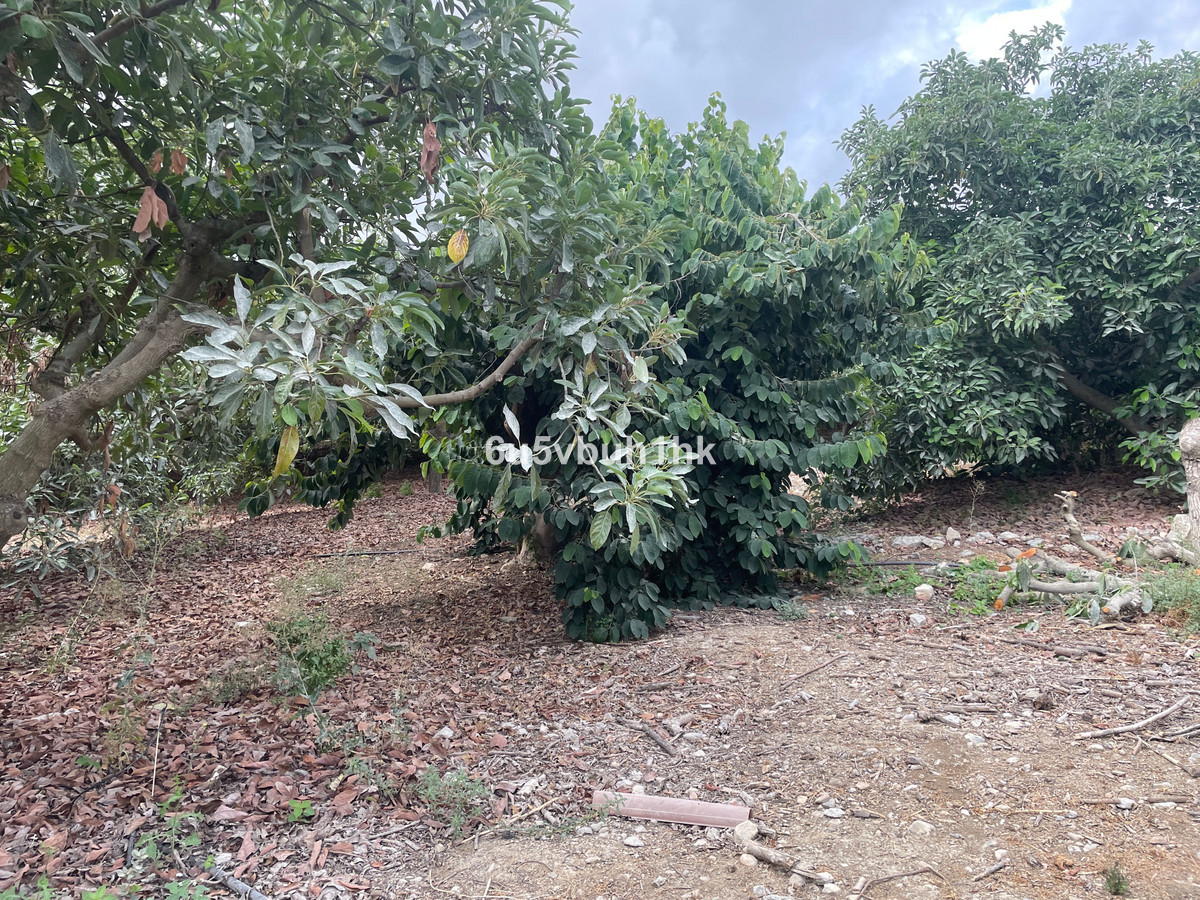 Finca for sale in Coín