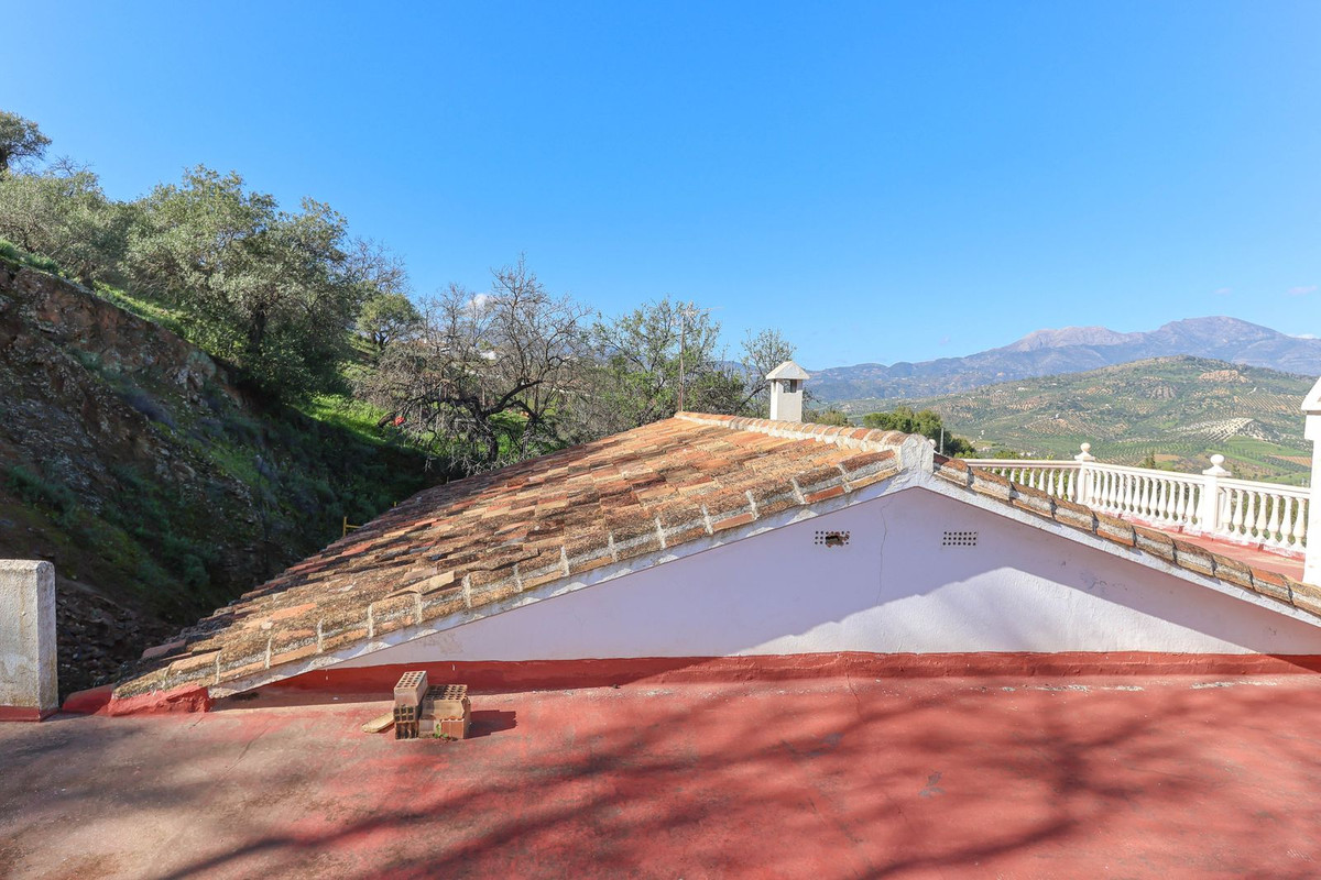 Finca for sale in Guaro