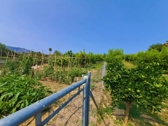 Finca for sale in Mijas