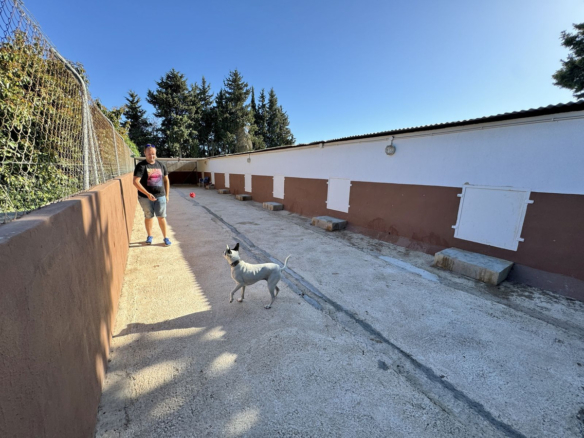 Finca for sale in Mijas