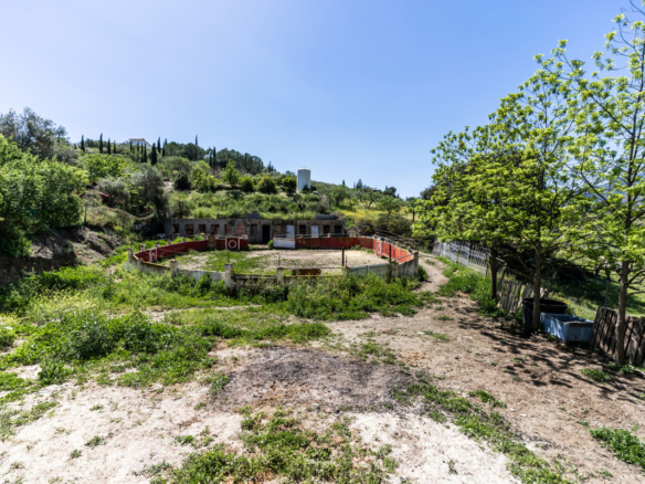 Finca for sale in Monda
