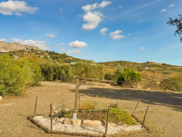 Finca for sale in Villanueva De La Concepcion