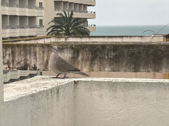 Penthouse for sale in Málaga