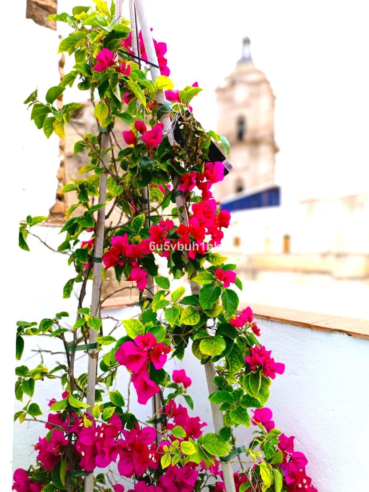 Townhouse for sale in Málaga