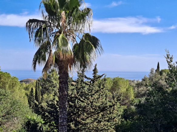 Villa til salg i Mijas