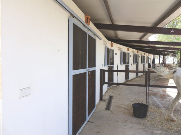 Villa for sale in Mijas