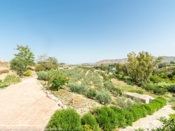 Finca for sale in Alhaurín de la Torre