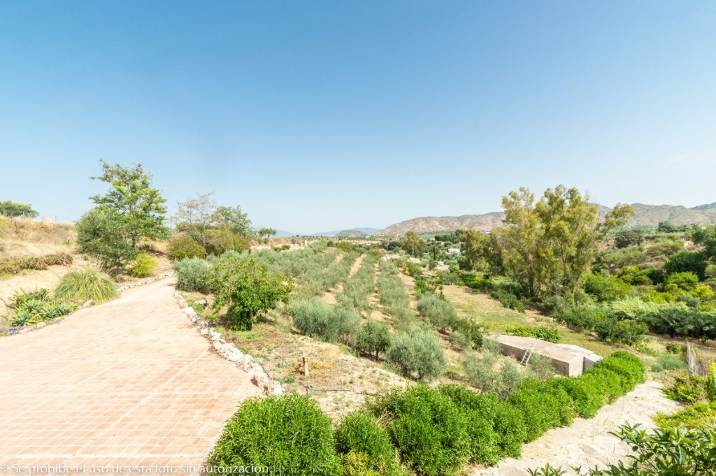 Finca for sale in Alhaurín de la Torre