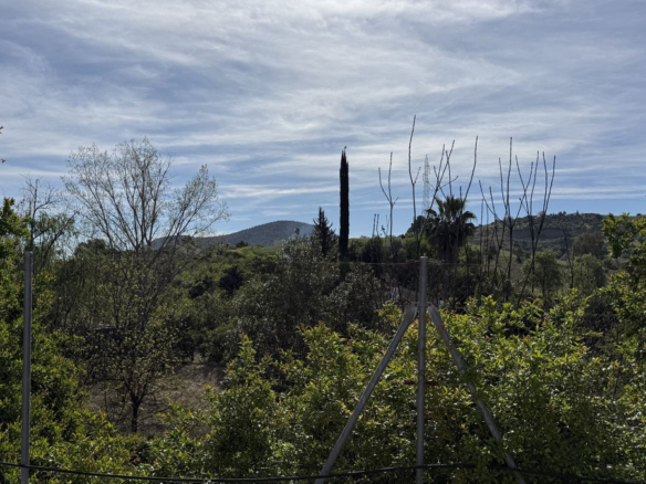 Finca for sale in Coín