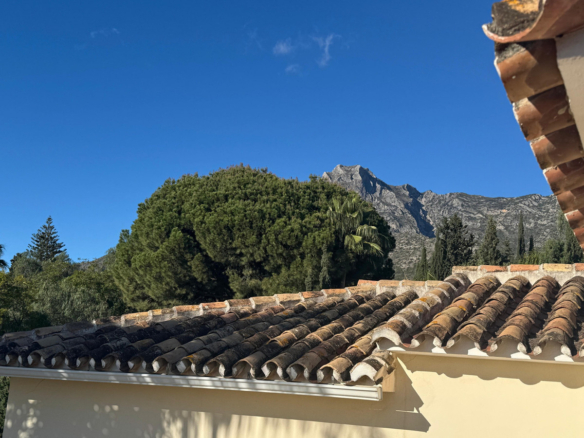 Villa for sale in Marbella