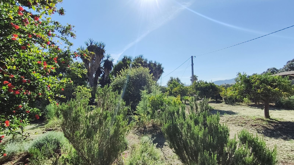 Finca for sale in Alhaurín el Grande