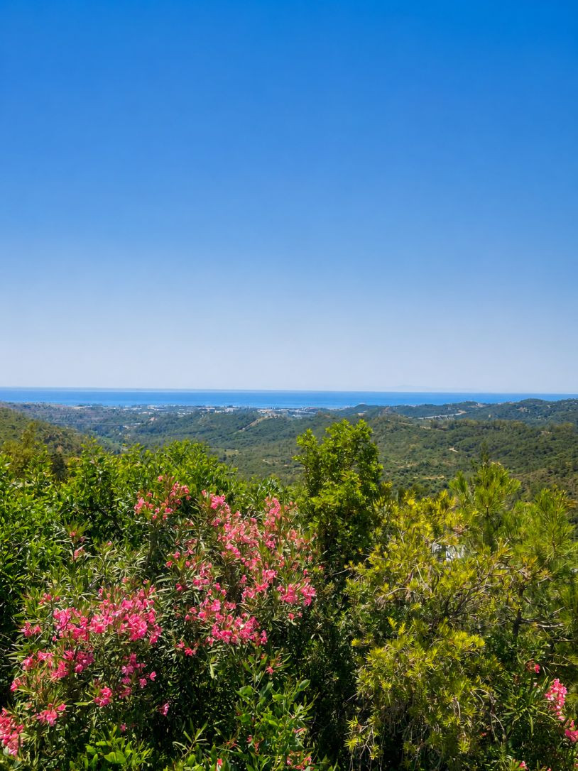 Villa for sale in Benahavís