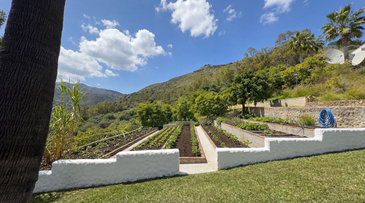 Finca for sale in Alhaurín el Grande