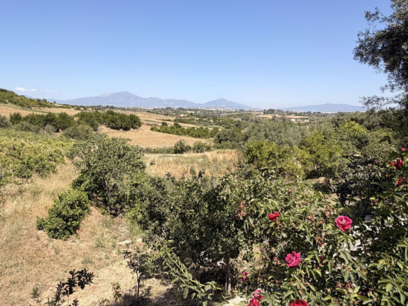 Finca for sale in Alhaurín el Grande