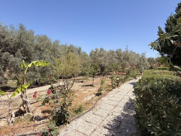 Finca for sale in Alhaurín el Grande
