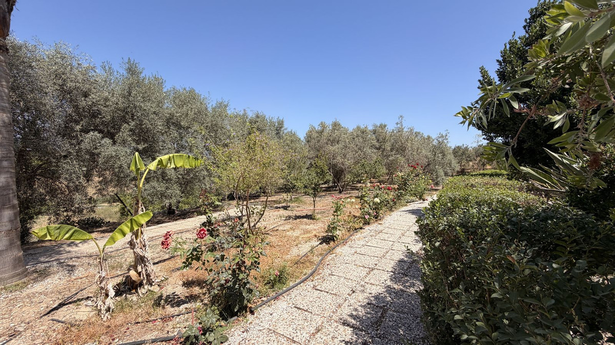 Finca for sale in Alhaurín el Grande