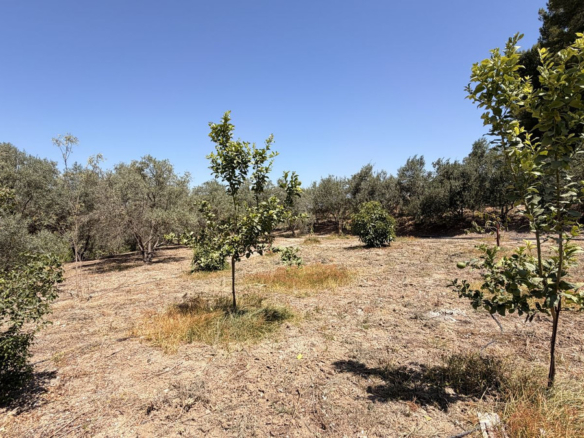 Finca for sale in Alhaurín el Grande