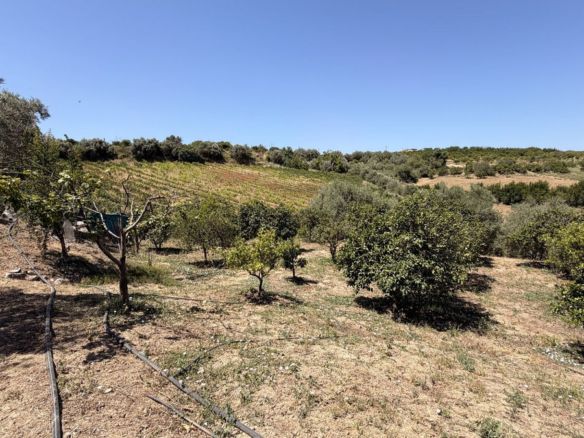 Finca for sale in Alhaurín el Grande