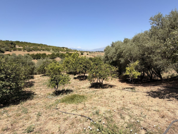 Finca for sale in Alhaurín el Grande
