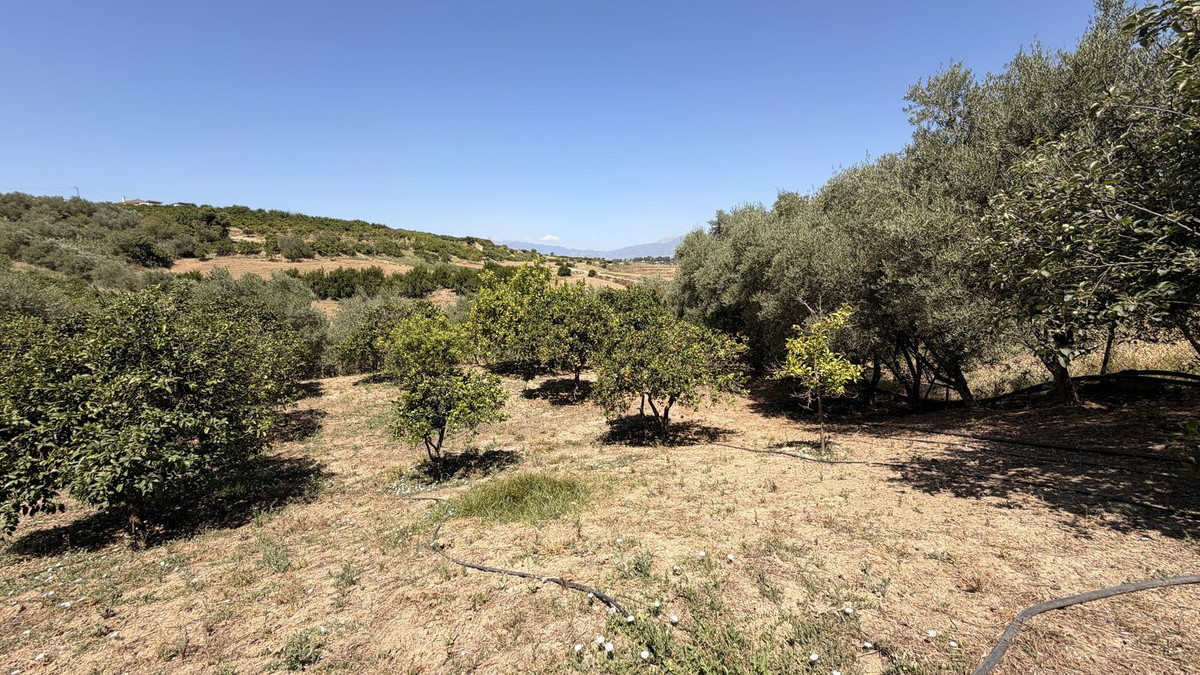 Finca for sale in Alhaurín el Grande