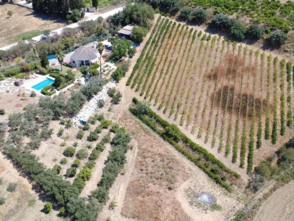Finca for sale in Alhaurín el Grande