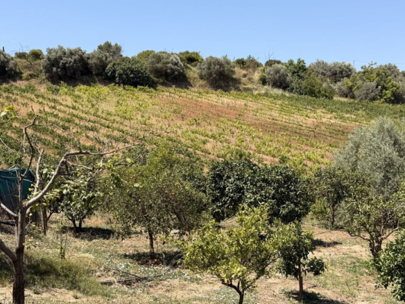 Finca for sale in Alhaurín el Grande
