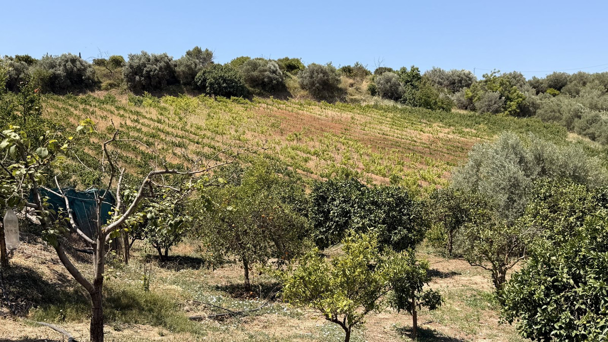 Finca for sale in Alhaurín el Grande