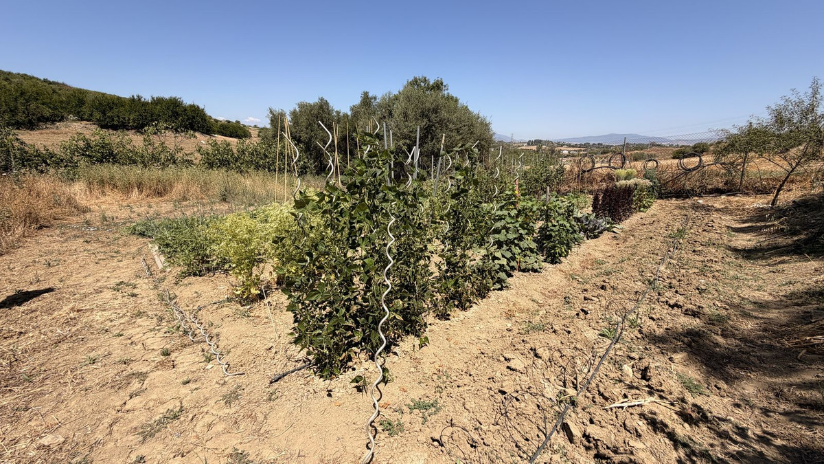 Finca for sale in Alhaurín el Grande