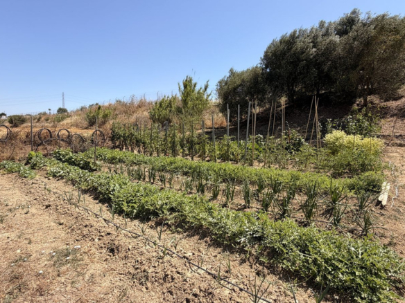 Finca for sale in Alhaurín el Grande