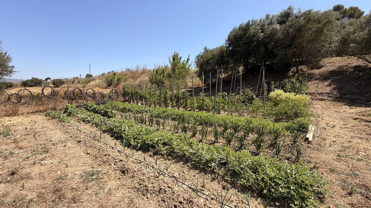 Finca for sale in Alhaurín el Grande