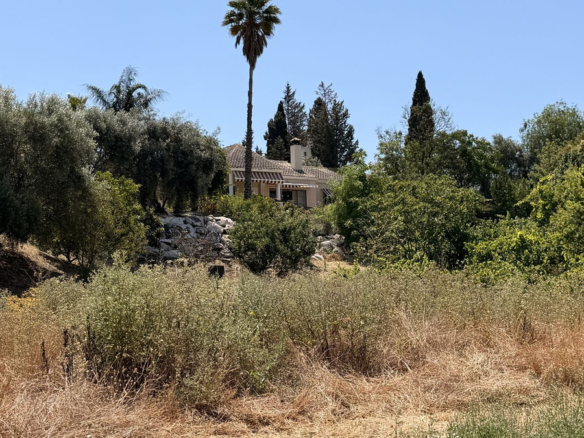 Finca for sale in Alhaurín el Grande