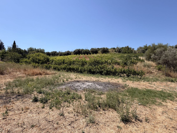 Finca for sale in Alhaurín el Grande