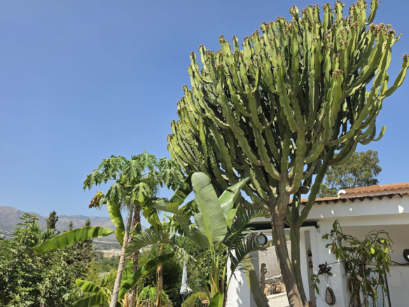 Villa til salg i Alhaurín de la Torre