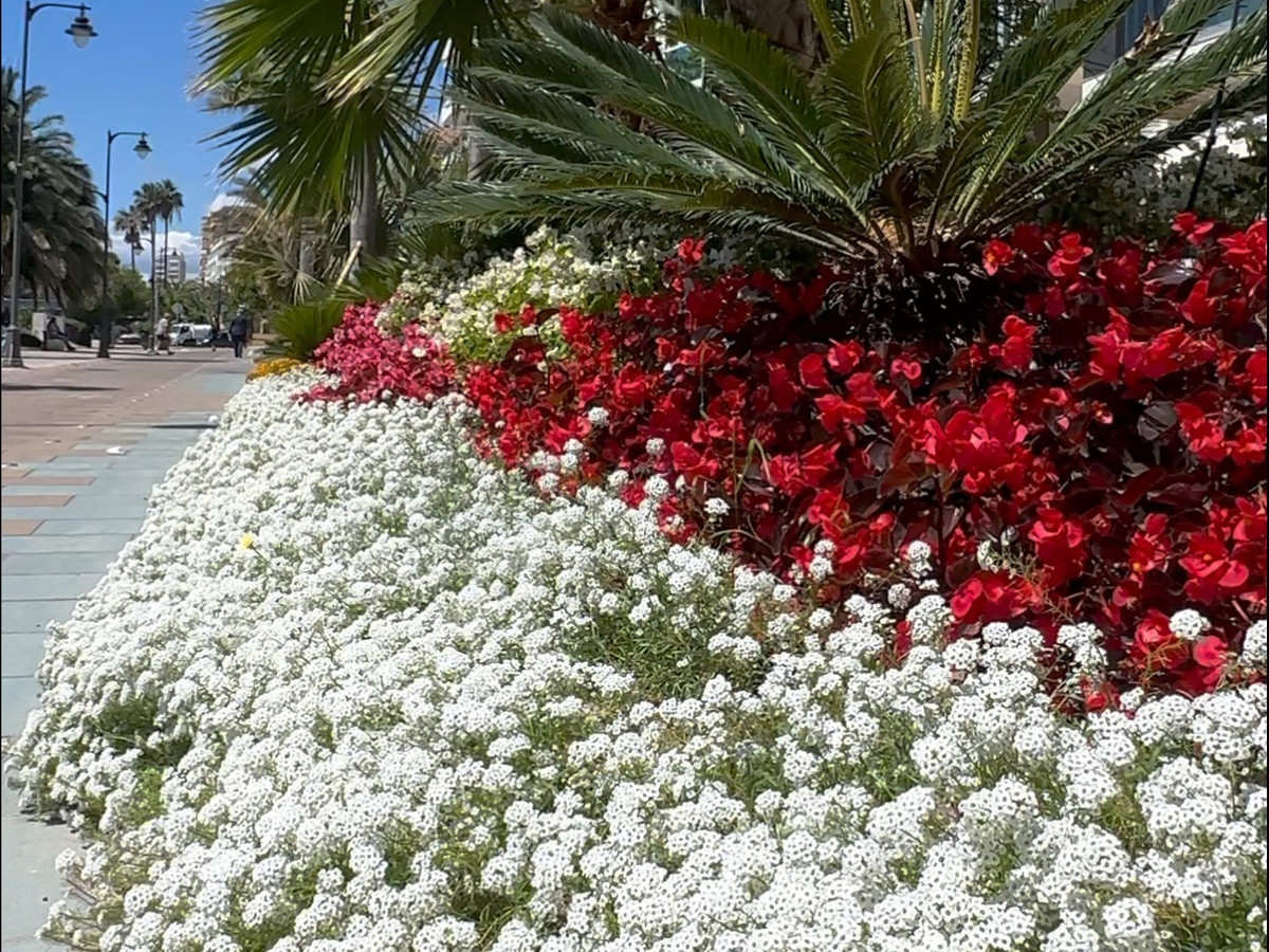 Apartment for sale in Estepona