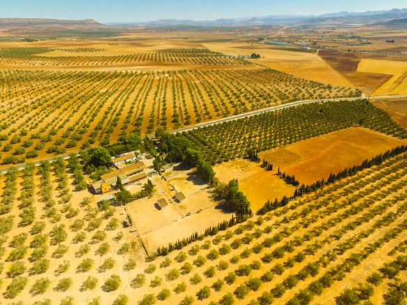 Finca for sale in Antequera